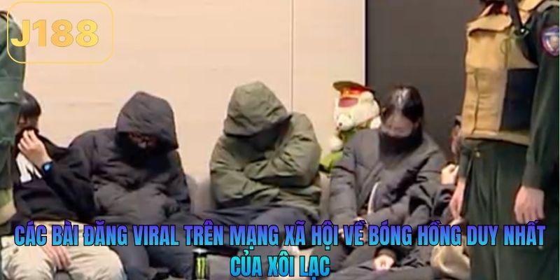 Các bài đăng viral trên mạng xã hội về bóng hồng duy nhất của Xôi Lạc