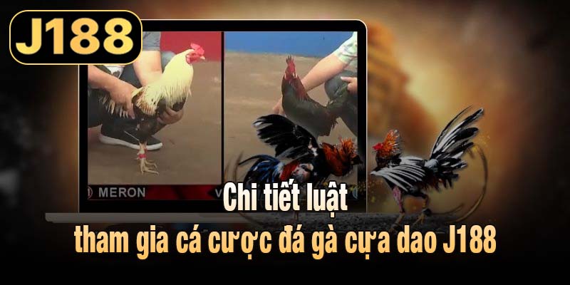 Chi tiết luật tham gia cá cược đá gà cựa dao J188