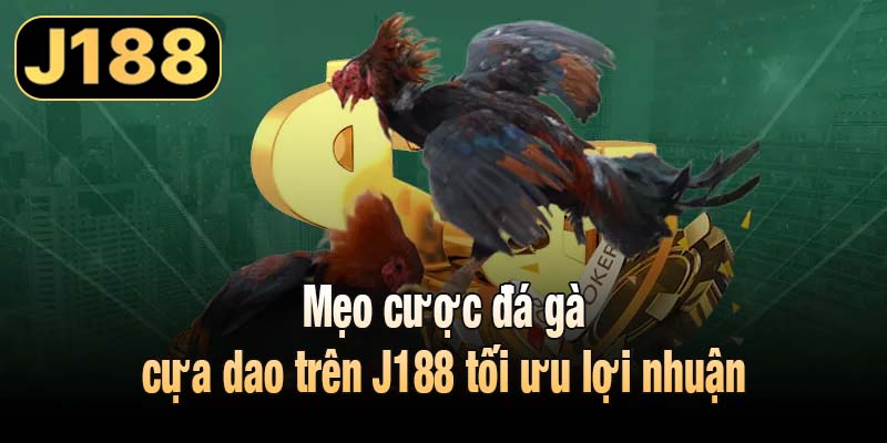 Mẹo cược đá gà cựa dao trên J188 tối ưu lợi nhuận
